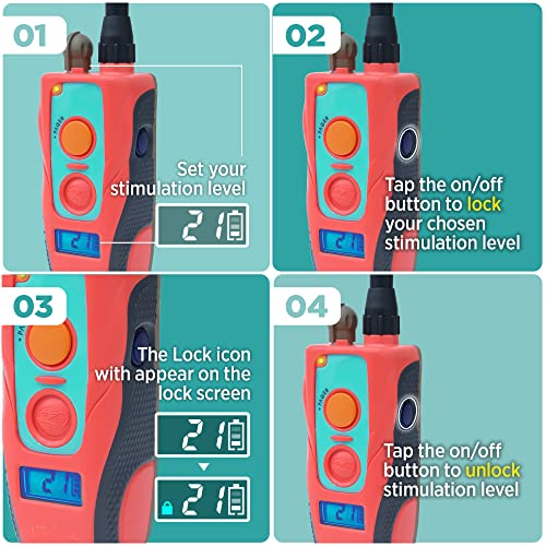 Dogtra E-Collar Tom Davis 280C Boost & Lock, Waterproof, 1/2-Mile Range Dog Training Collar with Remote, Rechargeable, 127 Levels, Vibration, Bungee, No Bad Dogs Trainer for Small, Medium, Large Dogs - color: Tom Davis 280C