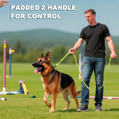 Heavy Duty Double Handle Dog Leash 6 ft Long for Total Control, Padded 2 Handle, Reflective Training Lead for Medium Large Dogs (Green, 6 FT) - color: Green