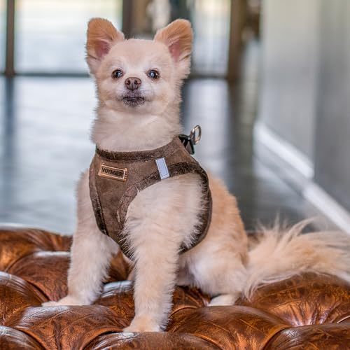 Best Pet Supplies - All Weather Plush, Reflective, No Pull Harness for Small, Medium Dogs, Cats - Secure with Hook & Loop Fastener, Buckle, Double D-Rings - Chocolate Suede, XS - color: Chocolate Suede, size: XS