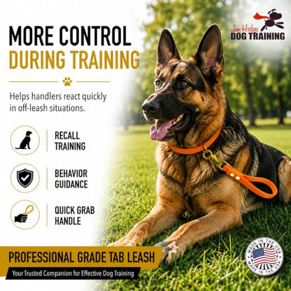 Biothane Training Tab Leash for Dogs, Brass Hardware, No Pull with Easy Grip Handle, Made in The USA, Professional Grade-Orange - color: Orange