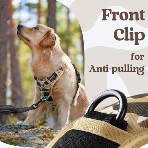 rabbitgoo Dog Harness Small Sized, No Pull Easy On & Off with 3 Buckles Pet Harness, Adjustable Soft Walking Vest with 2 Clips and Handle, Reflective for Small Dogs, Desert Ridge, S - color: Desert Ridge, size: Small