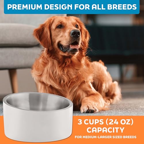 Master Pet Supply Stainless Steel Slanted Dog Cat Food Bowl - 24 oz Heavy Duty - Bone White, Double Wall Insulated, Non-Slip Elevated Bowl for French Bulldogs Pugs Cats, Anti Rust Dishwasher Safe - color: Bone White, size: 3 Cups (24 oz)