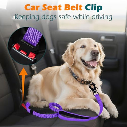 PetBonus Heavy Duty Tactical Dog Leash, 5 FT Bungee Shock Absorption Leash with 2 Padded Handles, Quick Release Metal Clip, Car Seatbelt, No Pull Training Lead for Large Medium Dogs（Purple） - color: Purple
