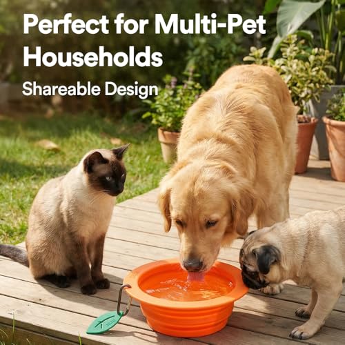 Collapsible Silicone Dog Bowl (Orange) - color: Orange