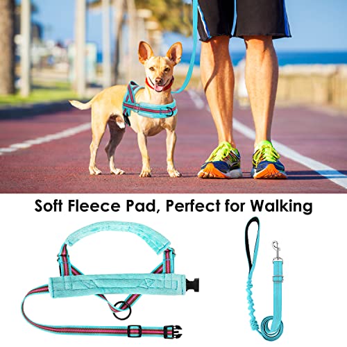Lukovee No Pull Dog Harness and Leash Set, Soft Padded Small Dog Harness, Neck & Chest Adjustable Reflective Vest Puppy Harness with 4ft Lightweight Anti-Twist Dog Leash for Small Dogs (XXS, 01-LBL) - color: Light Blue - with Stripe, size: XXS ( Chest 11.
