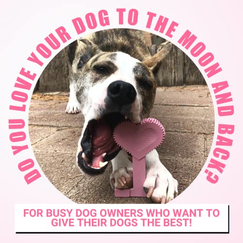 Bullibone Nylon Dog Chew Toy for Aggressive Chewers - Dental Hygiene Bone with Peppermint Flavor, Durable Tough Chew Toys for Small Dogs, Indestructible Dog Bone - Single - size: Small - Single