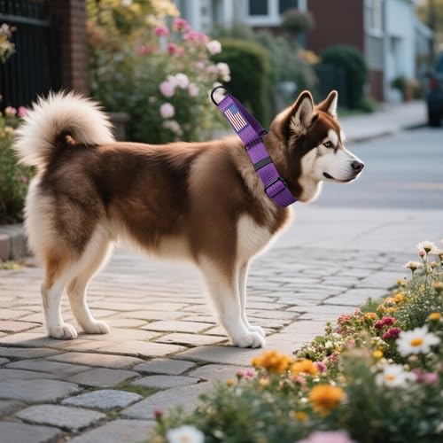 Martingale Dog Collar Quick Release Buckle No Pull Reflective Non-Slip for Medium Large Dogs Training (Purple, Large) - color: Purple, size: Large (Pack of 1)