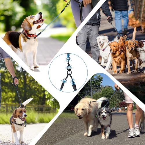 Five Reflective Leash - 360 Anti-Tangle & No Pull, 5 Way Handle for Small & Medium Dogs (Blue) - color: Blue, size: 5 Way