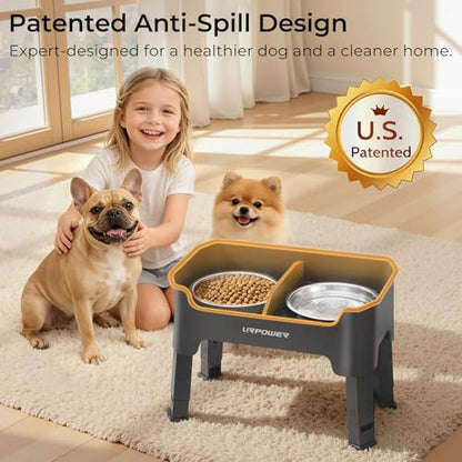 URPOWER Mess Proof Elevated Dog Bowls 4 Height Adjustable Raised Bowl Stand with 2 Stainless Steel Dog Bowls Non-Slip Food and Water Bowl Set for Small Dogs, Grey - color: Grey, size: Small