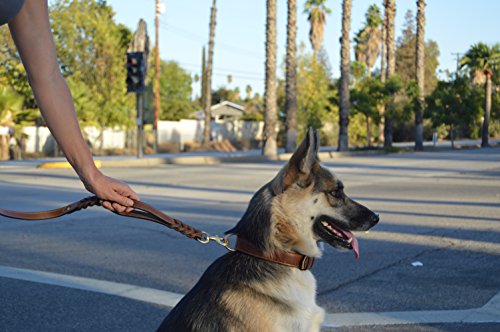 6 Foot Braided Leather Dog Leash with Traffic Handle, Two Handles for Training and Safety, Double Your Control with 2 Locations, Lead for Large and Medium Dogs Brown 6ft x 3/4 Inch - color: Brown