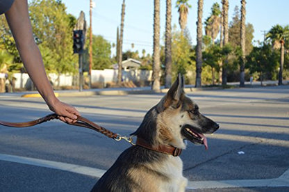6 Foot Braided Leather Dog Leash with Traffic Handle, Two Handles for Training and Safety, Double Your Control with 2 Locations, Lead for Large and Medium Dogs Brown 6ft x 3/4 Inch - color: Brown