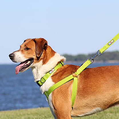 Pawtitas Reflective Step-in Dog Harness – Adjustable No-Pull Vest for Puppies to Seniors, Safe & Comfortable, L Blue