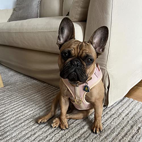 Premium No-Pull Dog Harness Soft Neoprene & Breathable Mesh Vest with Front & Back Clip D-Rings Adjustable Lightweight Walking Harness for Puppies, Small & Medium Dogs (Rose Beige, XS) - color: Rose Beige, size: XS: Neck 10.6-14.2'', Chest 14.2-18.9''