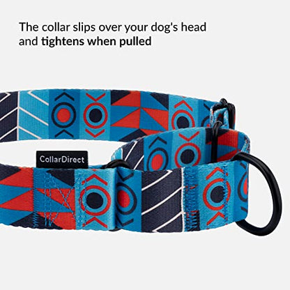 CollarDirect Martingale Dog Collar Heavy Duty Nylon Slip Collars for Small Medium Large Dogs [Nylon, Patterned, Blue Ethnic, XL, 19"-24"] - color: Blue Ethnic, size: X-Large (Neck Size 19"-24")