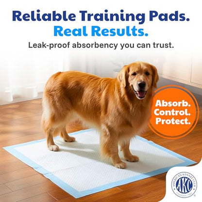 American Kennel Club Scented Puppy Training Pads with Ultra Absorbent Quick Dry Gel – 28 x 30 Pee Pads for Dogs - Fresh Scented - 50 Count, XL - size: 28 x 30 - 50 Count