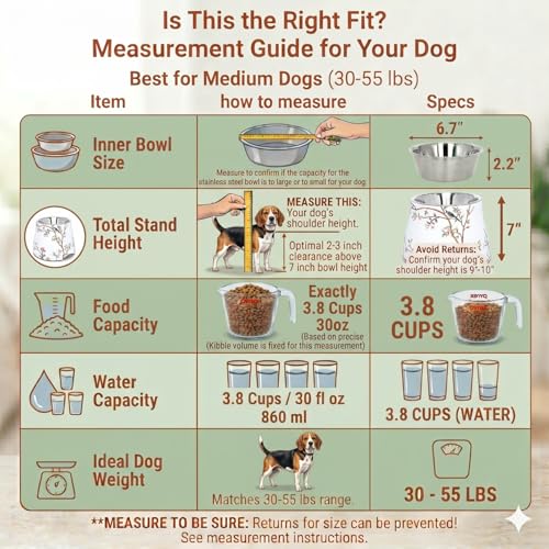 Ceramic Dog Bowl 7 inch Height for (30-55lbs) Medium Size Dogs Includes Food-Grade 304 Stainless Steel Bowls Non-Slip 3.8 Cups(860ml) Bowl Feeder in an Artful and Design (White) - color: White, size: Medium