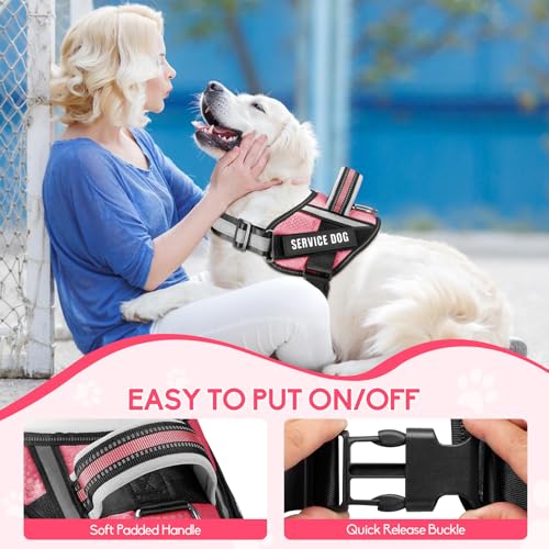 Service Dog Vest Harness and Leash Set, Animire in Training Dog Harness with 10 Dog Patches, Reflective Dog Leash with Soft Padded Handle for Small, Medium, Large, and Extra-Large Dogs (Rosy,XS) - color: Rosy, size: XS