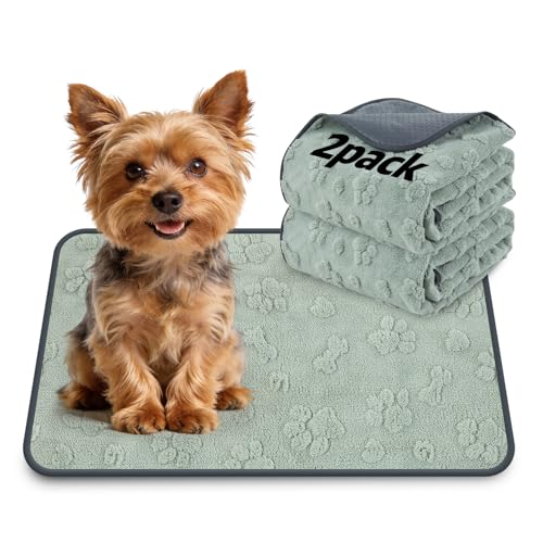 LOOBANI Washable Pee Pads for Dogs: 2 Pack Super Absorbent Reusable Puppy Pads, Leakproof and Waterproof Dog Training Pads Whelping Pads for Potty, Floor, Crate, Couch Bed and Travel, 18"x24" - color: Green Dog Element, size: 18"x24"(Pack of 2)