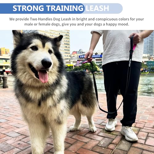 Strong Heavy Duty Dog Leash - 6ft Reflective Nylon Training Leash with Soft Padded Double Handle & Auto Lock Frog Clip - Safety Traffic Control for Large Medium Small Dogs No Pull Walk Black Pink,6ft - color: Black Pink, size: 6FT x 1" x 2.8MM