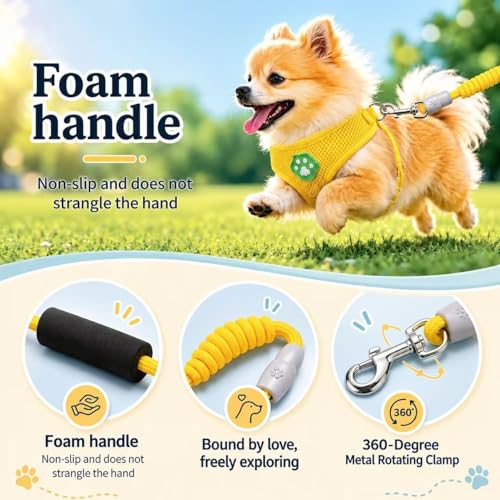 Dog Harness Small Sized and Leash Set, Step in Soft Light Puppy Vest, Breathable Mesh Pet Harness, Adjustable Pet Puppy Harness, Easy Walk Dog Harness, M: Chest 11.8-17.7" - color: Yellow, size: M: Chest 11.8-17.7" Leash 3.8 FT