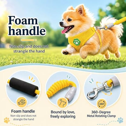 Dog Harness Small Sized and Leash Set, Step in Soft Light Puppy Vest, Breathable Mesh Pet Harness, Adjustable Pet Puppy Harness, Easy Walk Dog Harness, M: Chest 11.8-17.7" - color: Yellow, size: M: Chest 11.8-17.7" Leash 3.8 FT