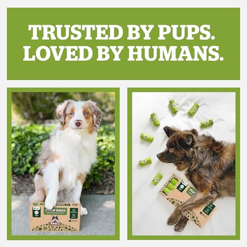 Pogi's Compostable Poop Bags – Leak-Proof, Extra-Large, Made with Plants – 9 Rolls (135 Bags) - size: 1 Count (Pack of 135)