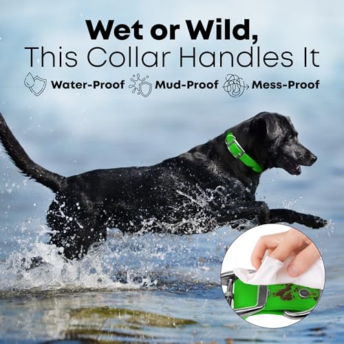 Regal Dog Products Small Light Green Dog Collar with Heavy Duty Double Buckle & D Ring Vinyl Coated, Custom Fit, Adjustable Biothane Dog Collar | Chew Resistant Waterproof Center-Ring Collar for Dogs - color: Green, size: Small