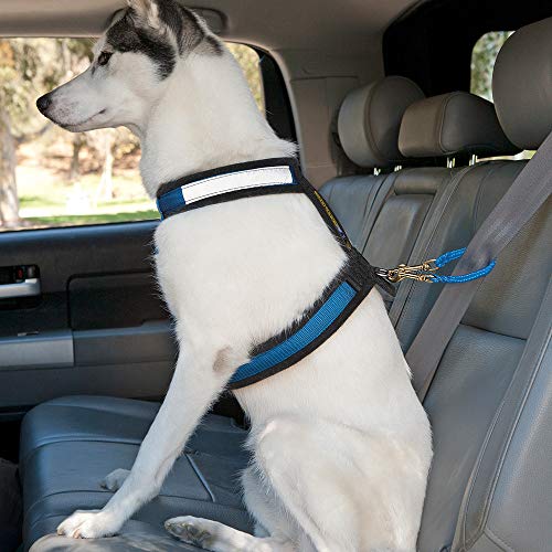 Safety First Seat Belt Restraint for Dogs - Handmade in The USA Alpine Outfitters (Red) - color: Red