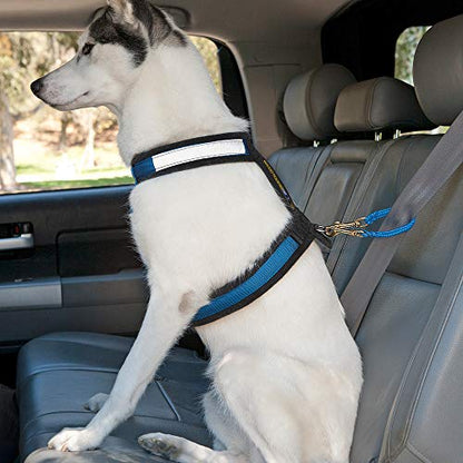 Safety First Seat Belt Restraint for Dogs - Handmade in the USA Alpine Outfitters (Blue) - color: Blue