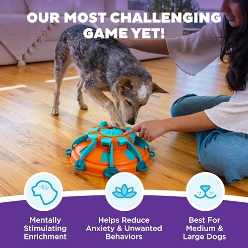Outward Hound by Nina Ottosson Tower of Treats Level 4 Expert Dog Treat Puzzle for Enrichment, Orange - color: Tower of Treats (Orange, Blue)
