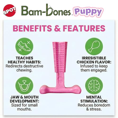 SPOT Bam-Bones Puppy T-Bone Dog Chew Toys, Chicken Flavor, 4 Inch, 2 Pack, Bamboo Fiber & Flexible Rubber, Easy Grip Design for Gentle Chewers, Puppies & Small Dogs Up to 15 lbs