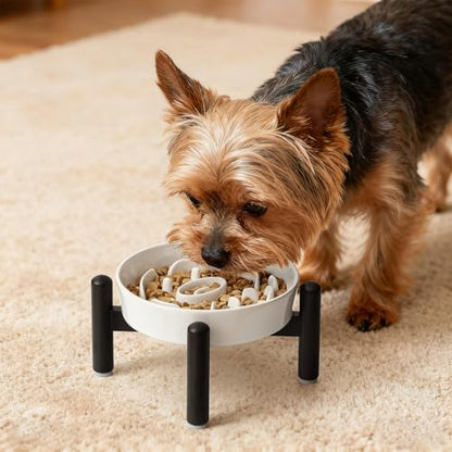 Elevated Slow Feeder Dog Bowl, 0.8 Cups Ceramic Raised Slow Feeder with Stainless Stand, 6.3 Inch Wide Lifted Dog Bowl for Small Breeds to Control Eating Speed, White - color: White, size: Small with Stand