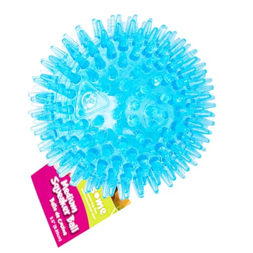 Gnawsome Medium Squeaker Ball Dog Toy, Medium 3.5", Colors will vary, All Breed Sizes - size: Medium