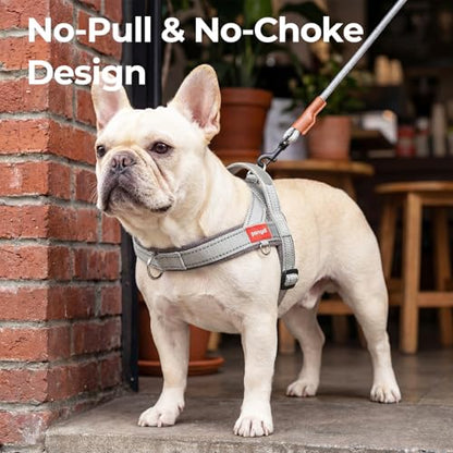 No Pull Dog Harness with Handle, Boston Terrier Adjustable Reflective Dog Vest, Breathable Air Mesh Padded Pet Harness with Front Leash Clip for Small Medium Dogs, Light Grey, M - color: Light Grey, size: Medium