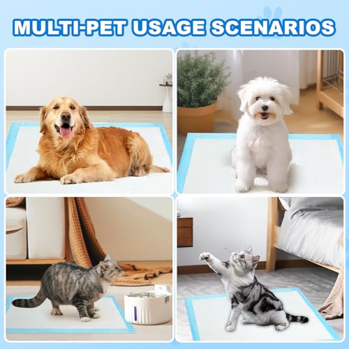 Thick Odor Neutralizing Disposable Dog Training Pads Heavy Duty Absorbent Pet Pee Pads for Dogs Odor Control Ultra Absorbent Dog Training Pads Large Size (50, M)