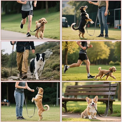 Anccoplus Hands Free Dog Leash, Multifunctional Crossbody Running for Dogs, Ultra-Light Dog Training Leash with Secure Clip, Short & Long Leashes, Adjustable Service Dog Leashes (Black Gray) - color: Black Gray