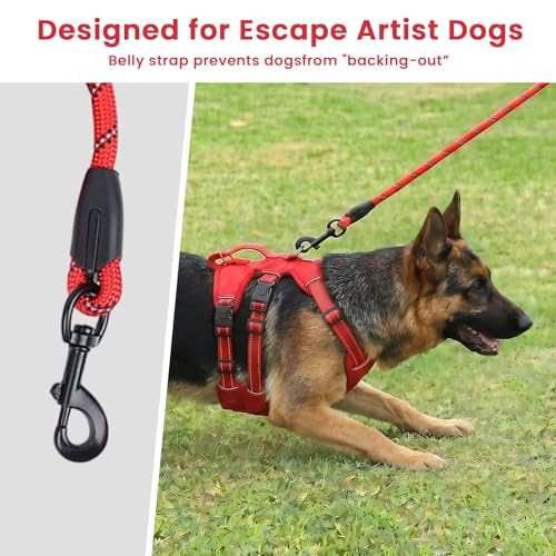 Escape Proof Dog Harness and Leash Set,Soft Padded Full Body Pet Harness, No Pull Reflective Adjustable Dog Vest with Handle, Easy Control Dog Harness for Medium Large Dogs Training Walking Running - color: Red, size: XL