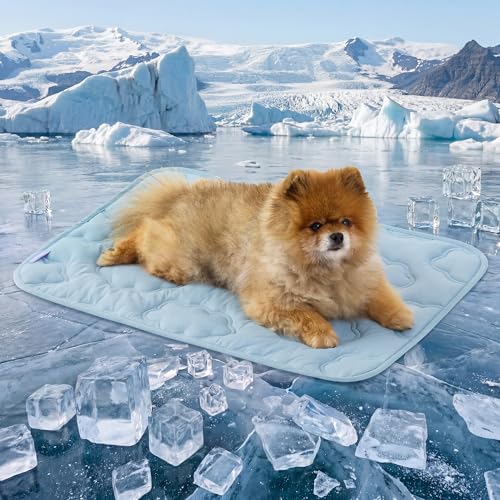 LE SURE Dog Cooling Mat for Small Dogs - QMAX>0.5 Breathable Thin Cool Crate Pad for Cat with Chill Fiber and Innovative Mesh Base Design, Portable Washable Pet Kennel Mat for Summer, 24x18,Blue - color: Blue, size: 24" x 18" (Small)