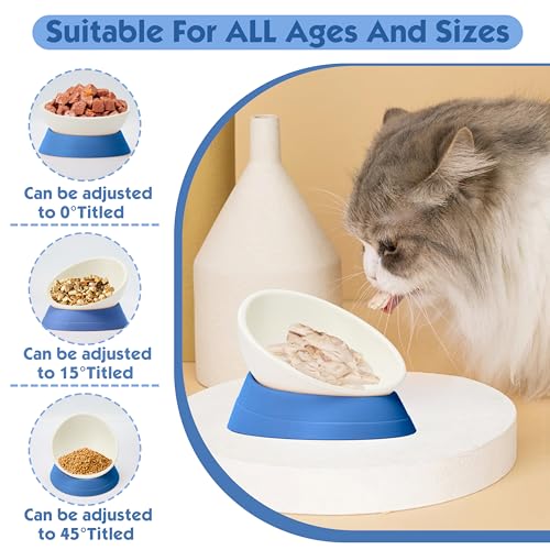 French Bulldog Food Bowl- Slanted Tilted Pug Food Water Bowl,Cat Bowl- Feeder for Frenchie/Shih Tzu/Flat Faced Small Dogs/Puppies/Cats (Blue, 2 Cup) - color: Blue, size: 2 Cup