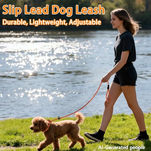 FOVRLZSE 3-Pack Adjustable Dog Slip Leads Pink/Light Blue/Orange - Super-Strong, Easy On/Off, No Collar Needed, Standalone Use, Eye-Catching for Walking/Training - color: Pink, Blue, Orange