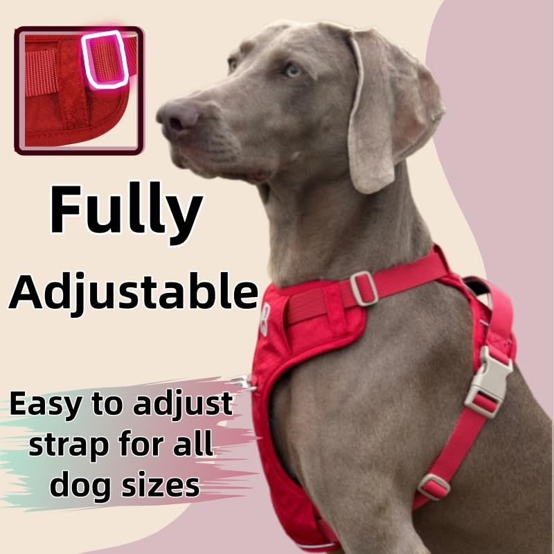 No Pull Dog Harness Front Clip Heavy Duty Reflective Easy Control Handle for Small Medium Large Dog (Red, L) - color: Red, size: L