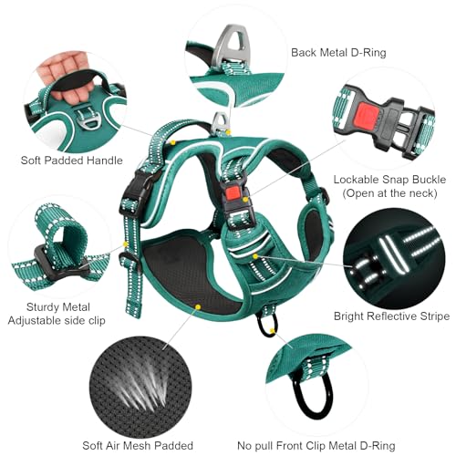 Timos Dog Harness Small Sized, No Pull Pet Harness with Neck Lockable Snap, No Choke Front Clip Reflective Vest, Adjustable Metal Rings 3 Buckles, Easy Control Handle for Small Dogs Grass Green S - color: Lock Grass Green, size: Small (Pack of 1)