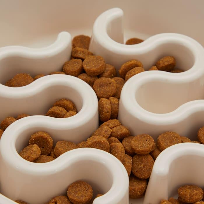 EveryYay by Petco Take it Slow White Slow Feeder Pet Bowl 2.5 Cups - size: Medium