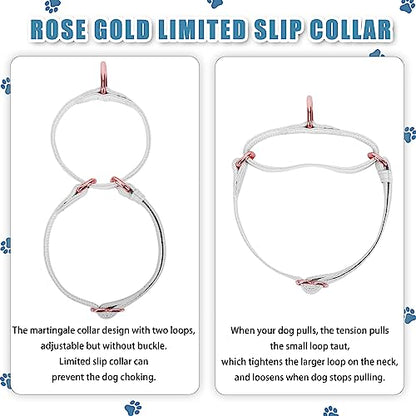 Soft Leather Martingale Dog Collar - Adjustable Rose Gold Limited Slip Collars [Easy to Clean], Stylish Durable Heavy Duty Nylon No Pull Training Collar for Small Medium Large Dogs XS White - color: White, size: XS (Neck 8"-11", Width 3/5")