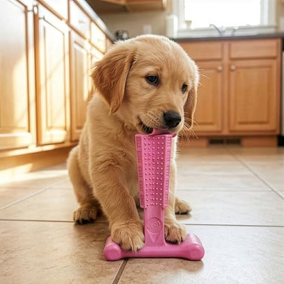 SPOT Bam-Bones Puppy T-Bone Dog Chew Toys, Chicken Flavor, 4 Inch, 2 Pack, Bamboo Fiber & Flexible Rubber, Easy Grip Design for Gentle Chewers, Puppies & Small Dogs Up to 15 lbs