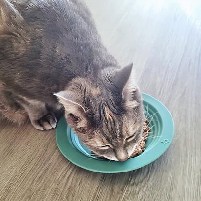 EcoLeo Whisker Friendly Cat Food Dish, Platinum Silicone, CKD, LFGB Certified Non-Toxic, Anti Whisker Fatigue, Low Profile, Shallow, Non Slip, Cat Dog Kitten Feeding Dish_Grey - color: Grey