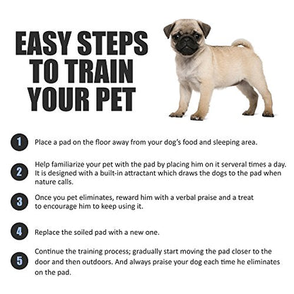 BV Puppy Pads XL 320 Count 34"x28" - Leak-Proof Pee Pads for Dogs with 6-Layer Design, Rapid Dry Sheet & Attractant - Dog Pad Extra Large with Odor Control - Perfect for Big Dogs & Indoor Use - size: XL / 320-Count (Standard)