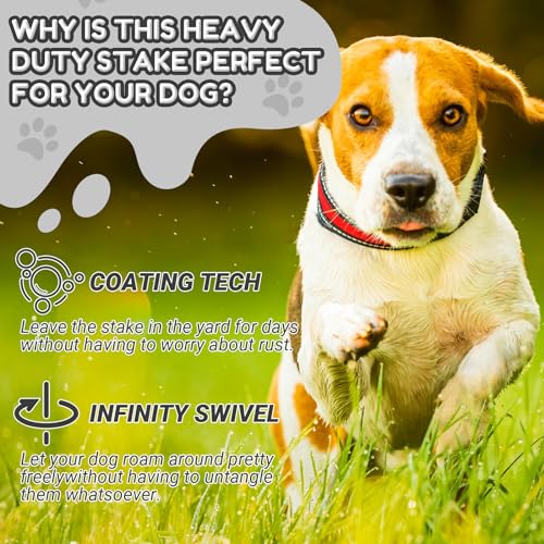 Amylove 2 Pcs Dog Tie Out Cable and Stake, 16 ft Outside Leash Cable Chain for Medium to Large Dog up to 125 Lbs, 18'' Heavy Duty Reflective Spiral Stake for Yard Camping Running Play(Grey) - color: Gray