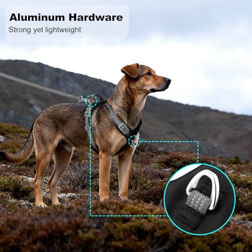No Pull Dog Harness – Adjustable Reflective Nylon Vest for Small Medium Large Dogs, Escape Proof Training Harness with Leather Control Handle, Lightweight Aluminum Hardware (Black, L) - color: Black, size: L