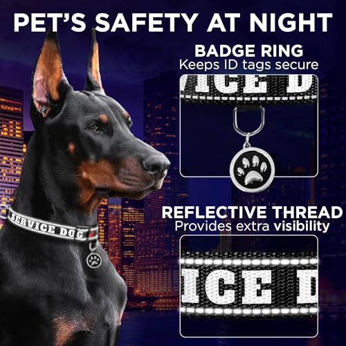 TECEUM Reflective Pet Collar – Black - Service Dog – M – Extra Soft Padding – Basic Nylon Dog Collar – Quick Release Buckle – Fits Small, Medium and Large Dogs, Puppies, Cats - color: Black - Service Dog, size: Medium